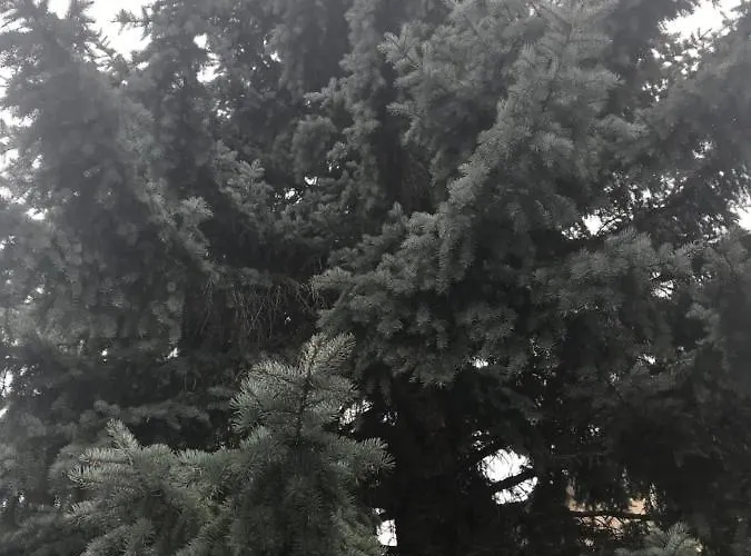 Balatonkenesei Vendeghaz Appartement Balatonkenese