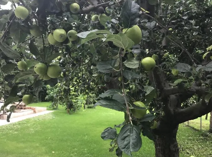 Balatonkenesei Vendeghaz Appartement Balatonkenese